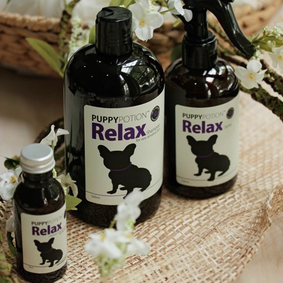 doggy-potion-แชมพูสูตร-puppy-potion-relax-500ml