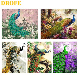 DROFE ชุดภาพระบายสีตามตัวเลข ลายนกยูง ขนาด 50X40 ซม. ชนิด DIY  สำหรับตกแต่งบ้าน