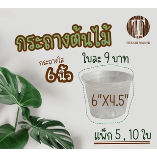 ภาพหน้าปกสินค้ากระถางใส กระถางสีขาว 6นิ้ว 8นิ้ว แพ็ก5ใบ 10ใบ ใสมองเห็นราก กระถางพลาสติกใส กระถางปลูกต้นไม้ ที่เกี่ยวข้อง