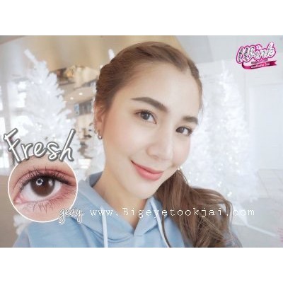 wink-fresh-brown-gray-contactlens-บิ๊กอาย-คอนแทคเลนส์-ราคาถูก-แถมตลับฟรี