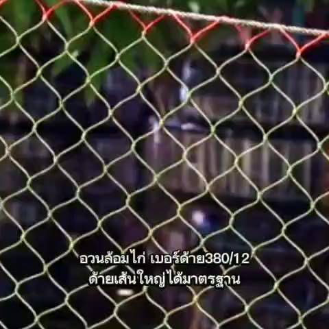 ตาข่ายล้อมไก่-ตาข่ายกันนก-อวนล้อมไก่-ตาข่ายอเนกประสงค์-กรงไก่-ดางล้อมไก่-เลี้ยงไก่-ขนาดตา2-5นิ้ว