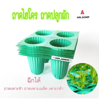 ถาดไฮโดร ถาดปลูกผัก Hydroponics สำหรับปลูกผักไฮโดรโปนิกส์ ผักไร้ดิน 4 หลุม (ฉีกได้) ถาดเพาะกล้า ถาดเพาะชำ ถาดเพาะเมล็ด