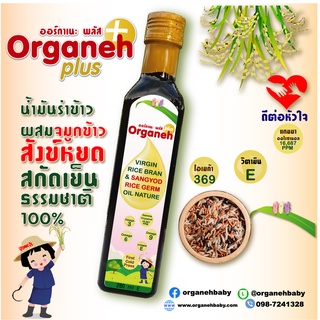 ภาพหน้าปกสินค้าOrganeh ออร์กาเนะ น้ำมันรำข้าวผสมจมูกข้าวสังข์หยด สกัดเย็น ขนาด 280 มล. สำหรับเด็ก 6 เดือนขึ้นไป ซึ่งคุณอาจชอบสินค้านี้