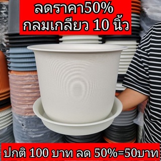 ลดราคา50% ‼️✅️SET4ใบแถมจานรอง4ใบ✅️ กระถางกลมเกลียวกระถางญาญ่าขนาดกว้าง10นิ้วสูง8นิ้ว