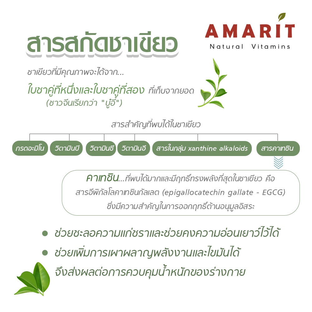 amarit-สารสกัดชาเขียว-หุ่นสวย-เผาผลาญไขมัน-60-แคปซูล