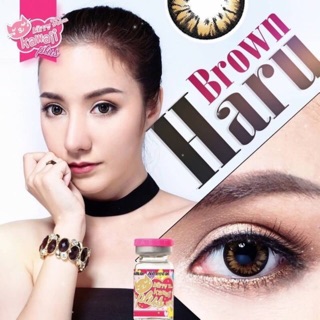 Haru Brown (1)(2) บิ๊กอาย สีน้ำตาล น้ำตาล ตัดขอบดำ Kitty Kawaii คอนแทคเลนส์ Contact Lens ค่าสายตา สายตาสั้น BigeyeS ตาโต