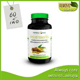 Herbal one กระชายสกัด 200 mg :: แก้อาการท้องอืด ท้องเฟ้อ อาหารไม่ย่อย (ขนาด 60 แคปซูล)