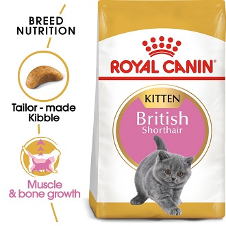 royal-canin-british-shorthair-kitten-2-kg-อาหารลูกแมว-สายพันธุ์บริติช-ชอร์ตแฮร์-2-กิโลกรัม-ถุง