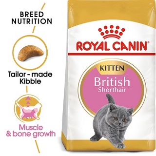 Royal Canin British Shorthair Kitten (400g.)อาหารลูกแมว สายพันธุ์บริติช ชอร์ตแฮร์ (400 กรัม/ถุง)