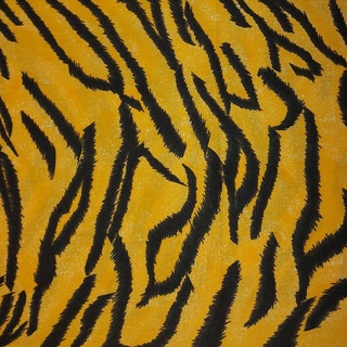 ภาพหน้าปกสินค้าผ้าเมตร ผ้าหลา ผ้าคอตต้อนทีซี ลายเสือ หน้ากว้าง 45 นิ้ว ที่เกี่ยวข้อง