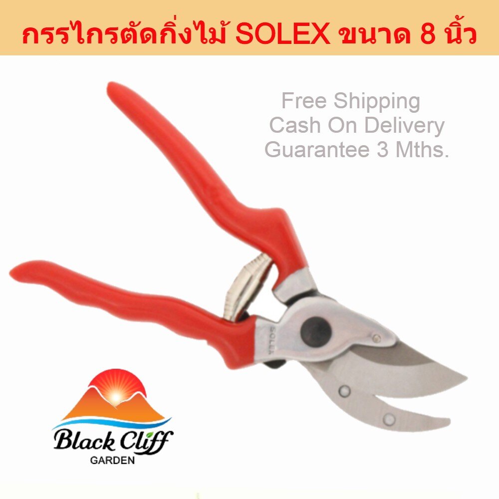 กรรไกรตัดกิ่งกรรไกรตัดกิ่งไม้-solex-ที่ตัดกิ่งไม้-คีมตัดกิ่งไม้-ตัดกิ่งไม้-กรรไกรตัดกิ่งไม้-กันไกรตัดกิ่ง-ครีมตัดกิ่ง