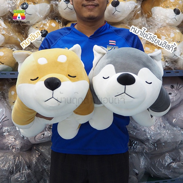 ตุ๊กตา-หมาชิบะ-shiba-หมาไซบีเรียนฮัสกี้-husky-ขนาด-75-ซม-นุ่มนิ่ม-งานป้าย