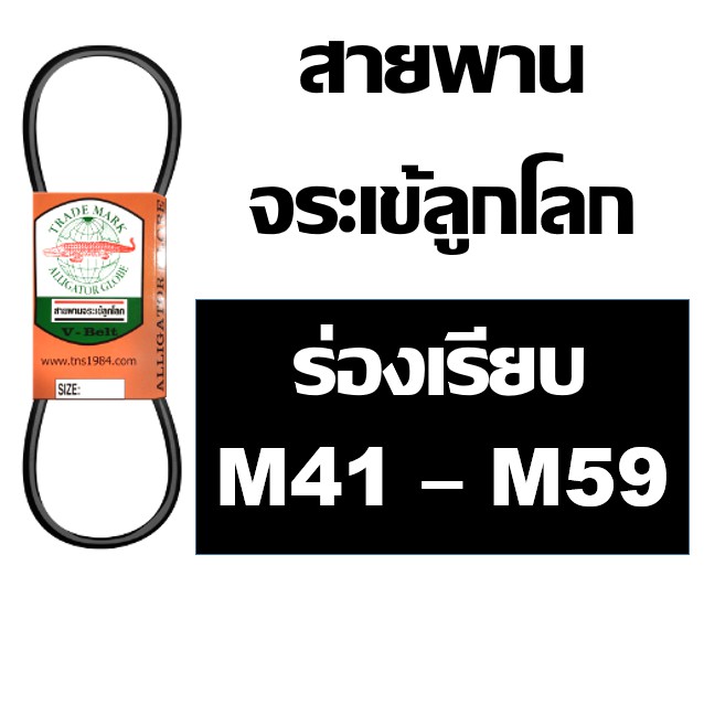 ภาพหน้าปกสินค้าจระเข้ลูกโลก สายพาน ร่อง M ร่องเรียบ M41 M42 M43 M44 M45 M46 M47 M48 M49 M50 M51 M52 M53 M54 M55 M56 M57 M58 M59 จากร้าน thefarmwork บน Shopee