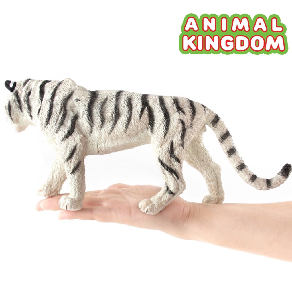 animal-kingdom-โมเดลสัตว์-เสือโคร่ง-เผือก-ขนาด-33-00-cm-จากหาดใหญ่