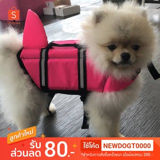 Dogtalog ชูชีพน้องหมา แบบน่ารัก สวม เสื้อชูชีพสุนัข ก่อนลงเล่นน้ำเพื่อความปลอดภัย