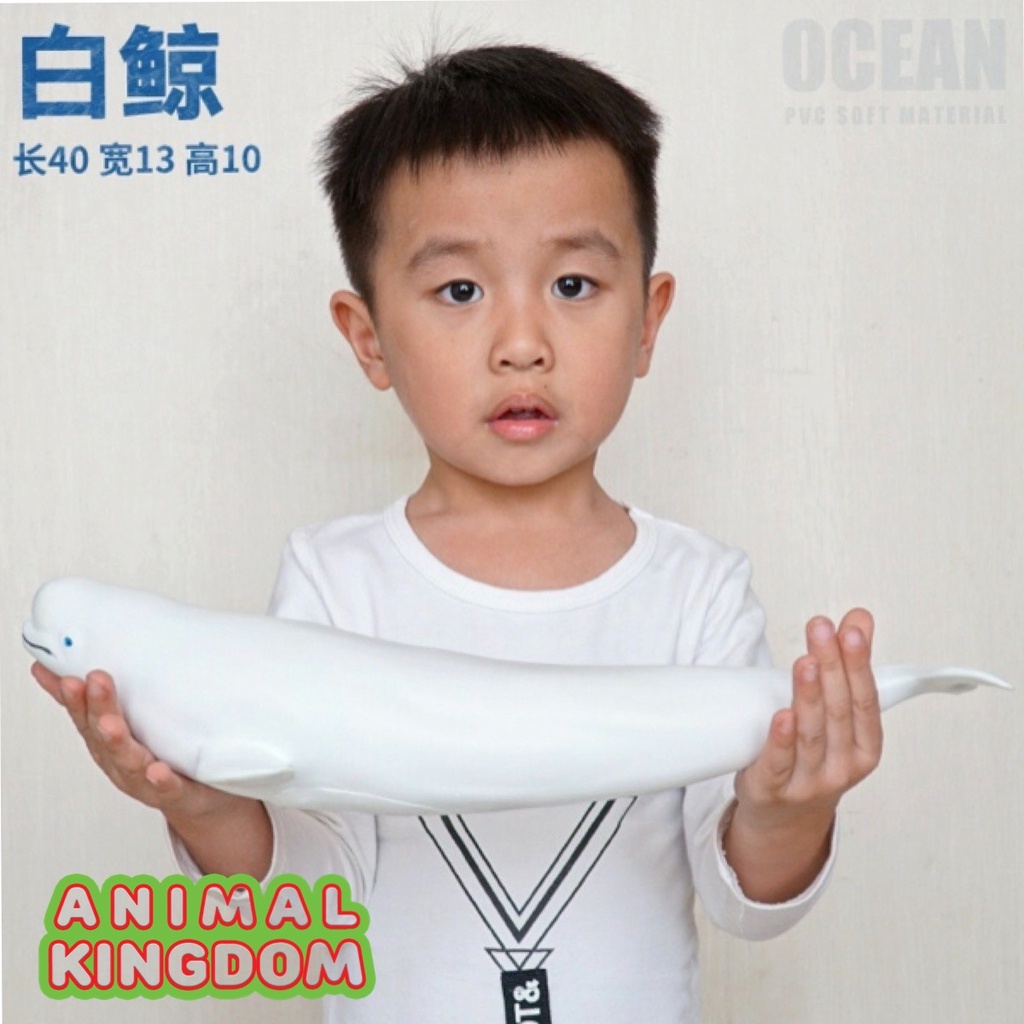 animal-kingdom-โมเดลสัตว์-ปลาวาฬเบลูก้า-ขนาด-41-00-cm-แบบนิ่ม-จากสงขลา
