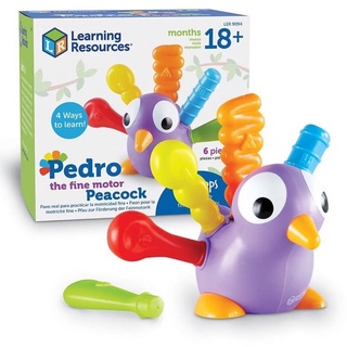 Pedro the Fine Motor Peacock “เพโดร” นกยูงผุ้ฝึกกล้ามเนื้อมัดเล็ก