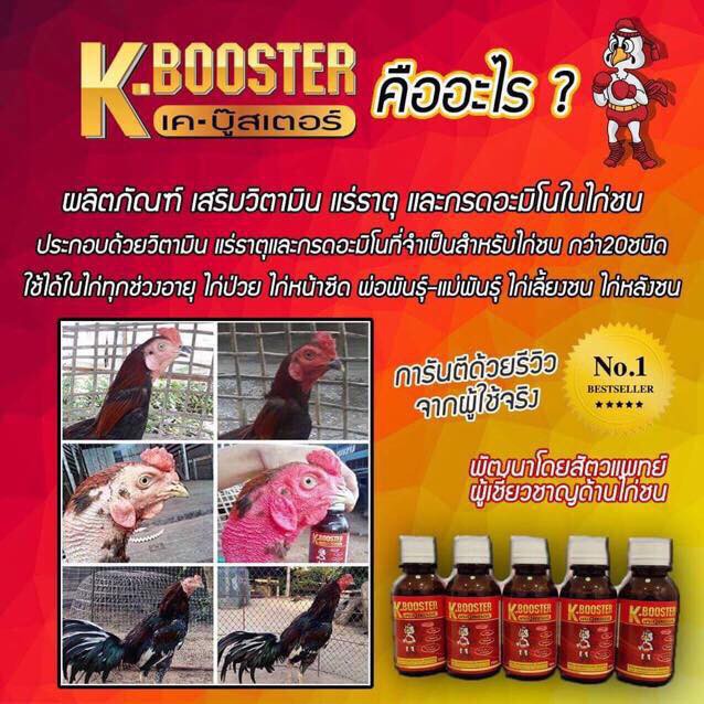 k-booster-บำรุงไก่ป่วยได้-ไก่เลี้ยงชนได้-พ่อแม่พันธุ์