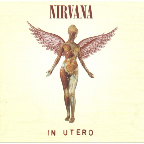 ซีดีเพลง-cd-nirvana-1993-in-utero-ในราคาพิเศษสุดเพียง159บาท