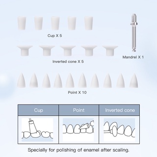 Azdent เครื่องขัดคอมโพสิตทันตกรรม