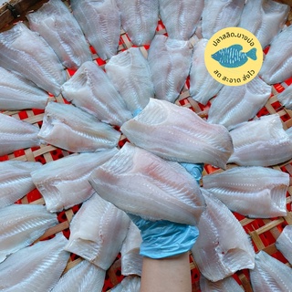 สินค้า ปลาสลิดแล่ก้างบางบ่อ ไซส์ 5 ตัว/โล สะดวกมาก ใหญ่เท่าฝ่ามือ สด สะอาด ส่งไว แพคละ 400 กรัม 6 ชิ้น แพคอย่างดี!