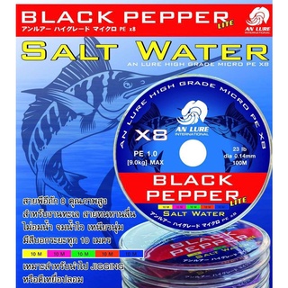 ภาพหน้าปกสินค้าสายพีอี AN LURE BLACK PEPPER SALT WATER ถัก 8 ยาว 100 เมตร สีมัลติคัลเลอร์ ที่เกี่ยวข้อง
