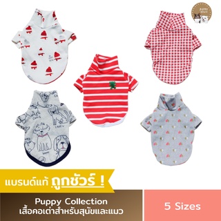 ภาพหน้าปกสินค้าเสื้อแมว เสื้อสุนัข (Puppy Collection รุ่นคอเต่า) เสื้อหมา เสื้อผ้าสัตว์เลี้ยง ที่เกี่ยวข้อง