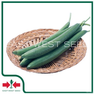 East-West Seed เมล็ดพันธุ์ บวบหอม (Luffa seeds) สายฟ้า F1 เมล็ดพันธุ์ผัก เมล็ดพันธุ์พืช ผักสวนครัว ตราศรแดง​​กระโปรง/เมล