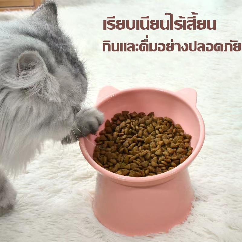 cod-ชามอาหารสัตว์-ทรงเอียง-ชามอาหารแมว-ชามอาหารสุนัข-ชามสัตว์เลี้ยง-อุปกรณ์ให้อาหารสัตว์-เอียง-15-องศา