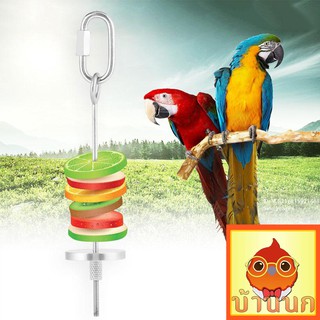 ที่แขวนผลไม้ - ของเล่นนก Stainless Steel Parrot Fruit Vegetable Food Stick Holder