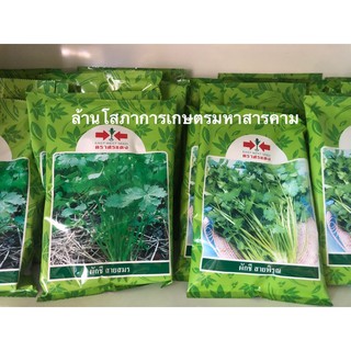 เมล็ดพันธุ์ผักชีสายสมร ขนาด 350 g. ผักชีสายสมรรีสต๊อก 1แถม1 (8/12/65) เมล็ดพันธ์ุตราศรแดง สายสมร