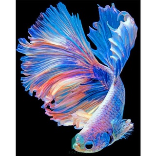 ♚พร้อมส่ง♚ชุดปักครอสสติตช์ 11CT รูปปลา DIY สําหรับตกแต่ง [Acelit.th]