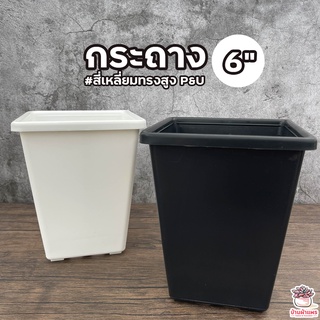 กระถาง 6 นิ้ว #สี่เหลี่ยมทรงสูง P&U ( SP-060 ) กระถางกระบองเพชร กระถางพลาสติก กระถางต้นไม้