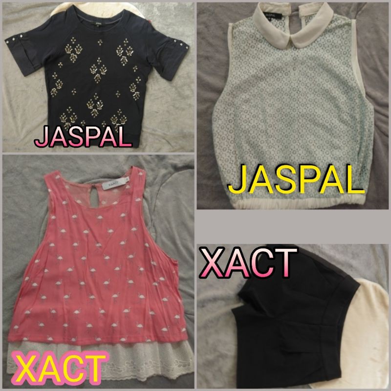 เสื้อ-jaspal-และ-xact