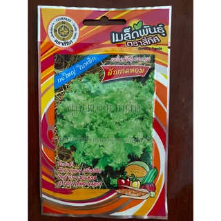 เมล็ดผักกาดหอม 10 แถม 1 ผักสลัด ผักกาดหอม พันธุ์บิ๊กจอห์น238 lettuce grand rapids เมล็ดพันธุ์ผัก