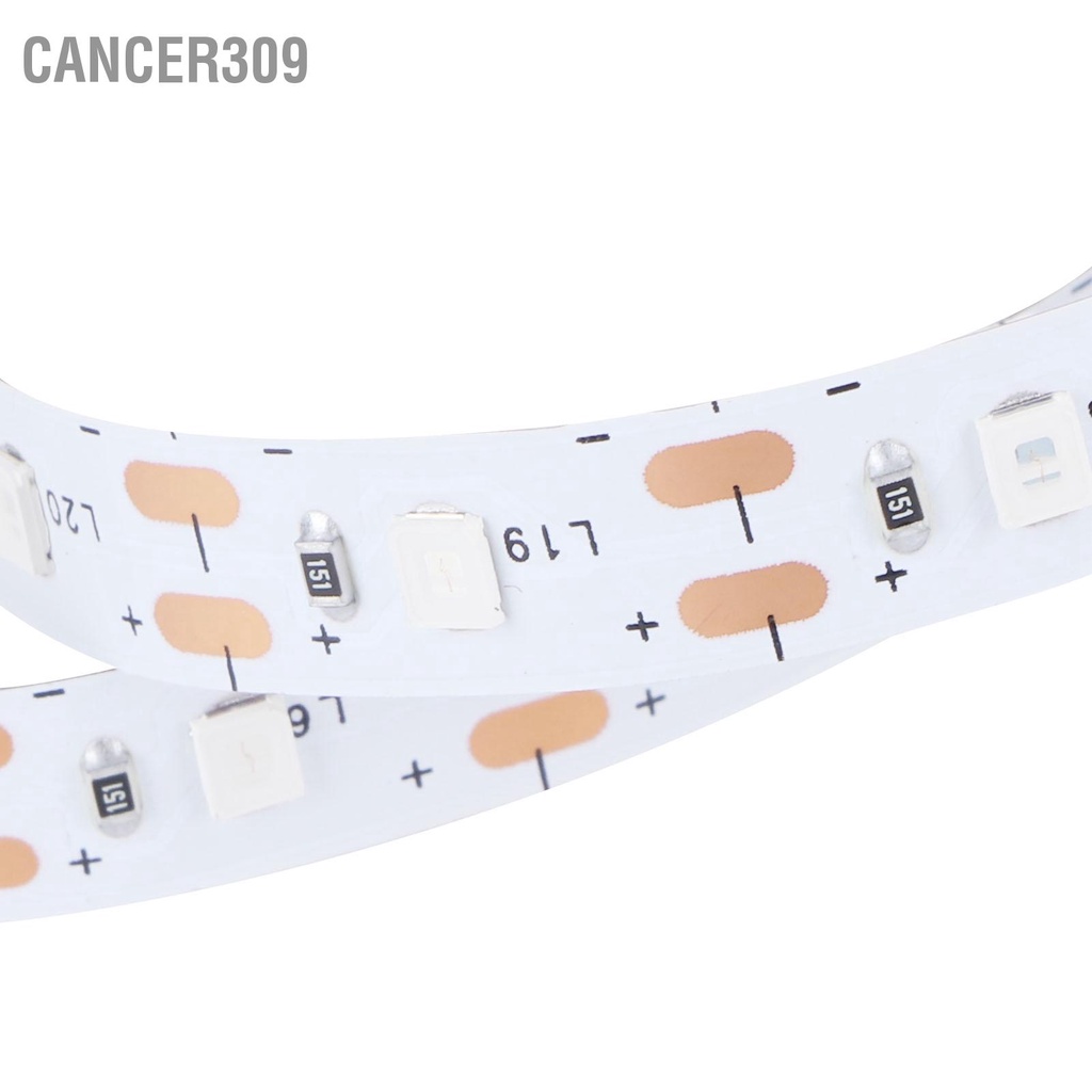 cancer309-สายไฟ-led-usb-สีฟ้า-สําหรับตกแต่งบ้าน-บาร์-บาร์-ทีวี