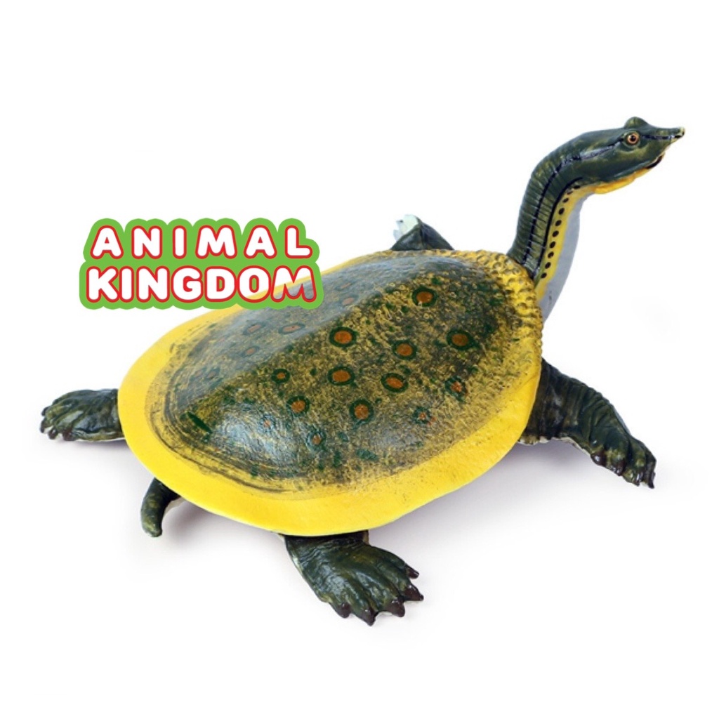 animal-kingdom-โมเดลสัตว์-ตะพาบน้ำ-ขนาด-17-00-cm-จากสงขลา