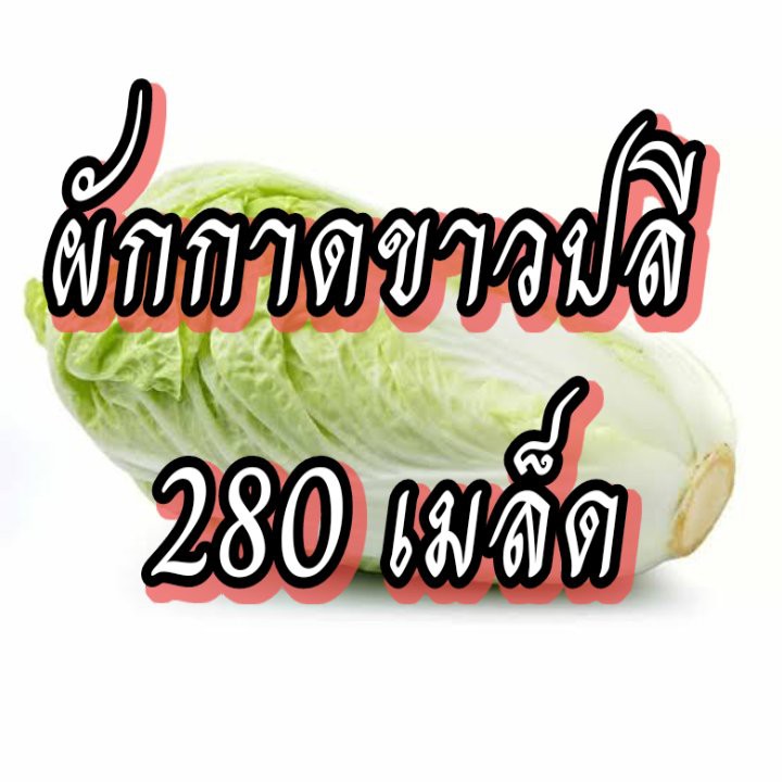 เมล็ดผักสวนครัว-เมล็ดผักชุดที่1-คะน้า-ผักกาดขาว-กะเพรา-ผักชีฝรั่ง-ผักกาดหอม