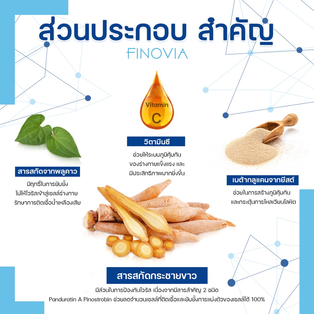 ภาพสินค้าFinovia (ฟิโนเวีย) สารสกัดกระชายขาว บรรจุ 60 แคปซูล จัดส่งฟรี - 5 กล่อง แถม 1 กล่อง จากร้าน soulution_shop บน Shopee ภาพที่ 1