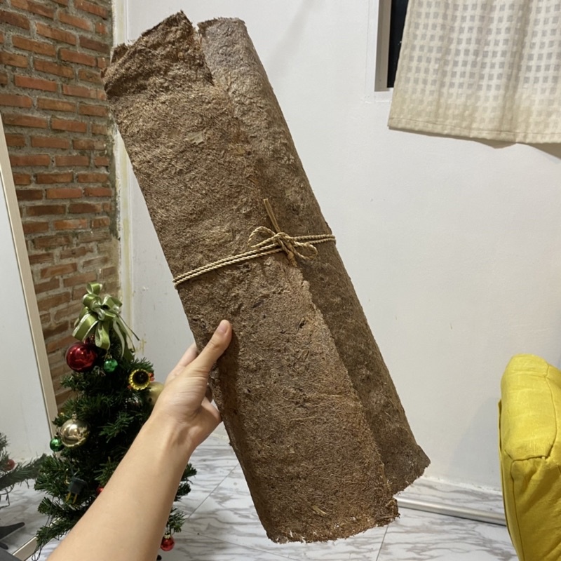กระดาษ เยื่อกล้วย ปลอดสารเคมี Paper pulp from the banana tree จากใย ...