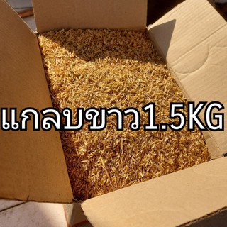 แกลบขาว แกลบดิบ 1.5kg