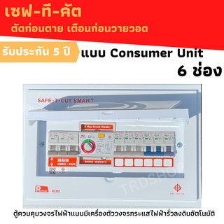 เซฟทีคัท Consumer คอนซูเมอร์ ตู้โหลดกันดูด พร้อมลูกย่อยครบชุดแบบ 6ช่อง