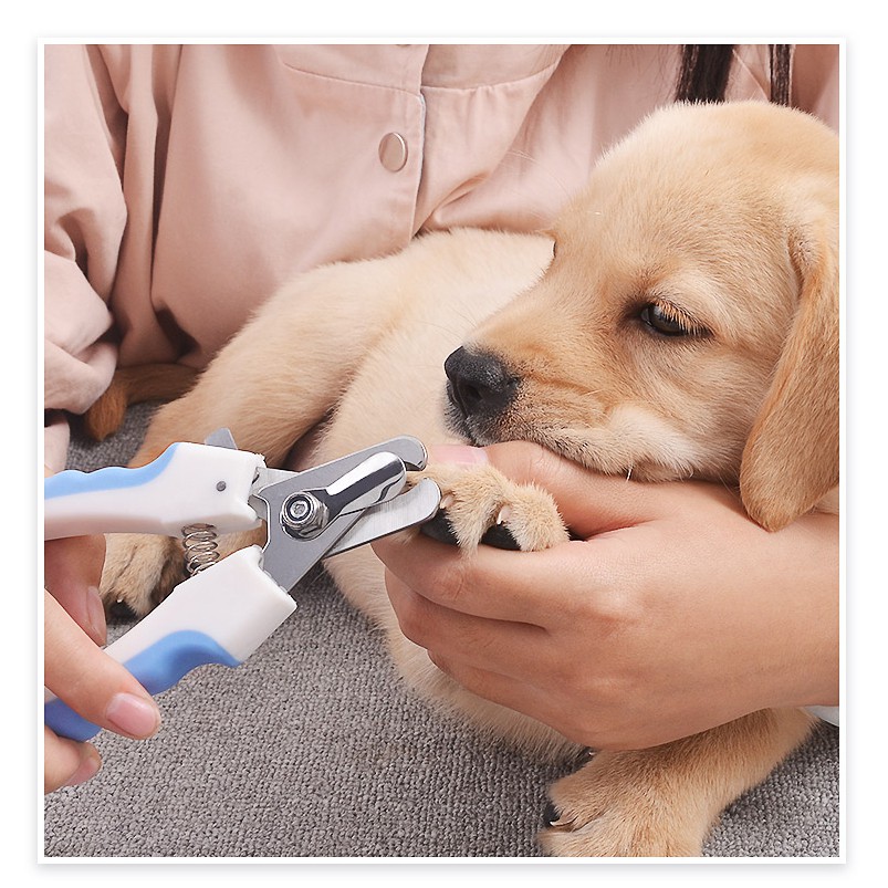 ภาพสินค้ากรรไกรตัดเล็บสัตว์เลี้ยงกรรไกรสำหรับสัตว์เลี้ยงสุนัขแมวเล็บเท้า Claw Clippers กรรไกร Trimmer Grooming เครื่องมือสำหรับสั จากร้าน petsecret บน Shopee ภาพที่ 5