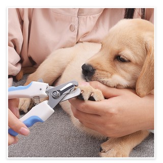 ภาพขนาดย่อของภาพหน้าปกสินค้ากรรไกรตัดเล็บสัตว์เลี้ยงกรรไกรสำหรับสัตว์เลี้ยงสุนัขแมวเล็บเท้า Claw Clippers กรรไกร Trimmer Grooming เครื่องมือสำหรับสั จากร้าน petsecret บน Shopee ภาพที่ 5