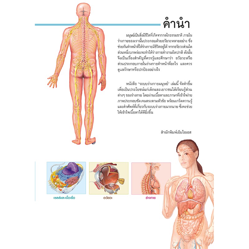 หนังสือระบบร่างกายมนุษย์-เรื่องน่ารู้เกี่ยวกับร่างกาย-รู้จักกลไกธรรมชาติในร่างกาย