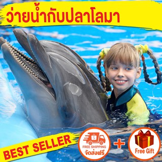 ว่ายน้ำกับปลาโลมา Swimming with Dolphins In Pattaya At Dolphinarium