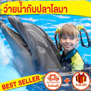 ราคาและรีวิวว่ายน้ำกับปลาโลมา Swimming with Dolphins In Pattaya At Dolphinarium