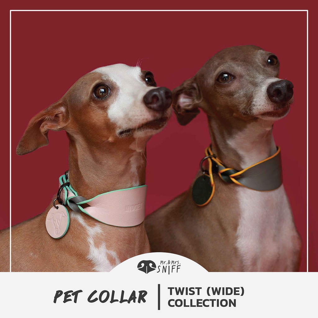 ภาพหน้าปกสินค้าปลอกคอสัตว์เลี้ยง Twist pet collar (หนา) สลักชื่อ เบอร์โทรฟรี หนังนิ่มแท้ ปลอกคอสุนัข  Mr.&Mrs.Sniff