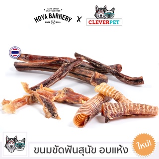 ภาพหน้าปกสินค้า[พร้อมส่ง🇹🇭] BULLY STICK by Hoya Barkery ขนมสุนัข อบแห้ง ขนมขัดฟัน ขนมแทะฟัน Dog Treat Cleverpet ที่เกี่ยวข้อง