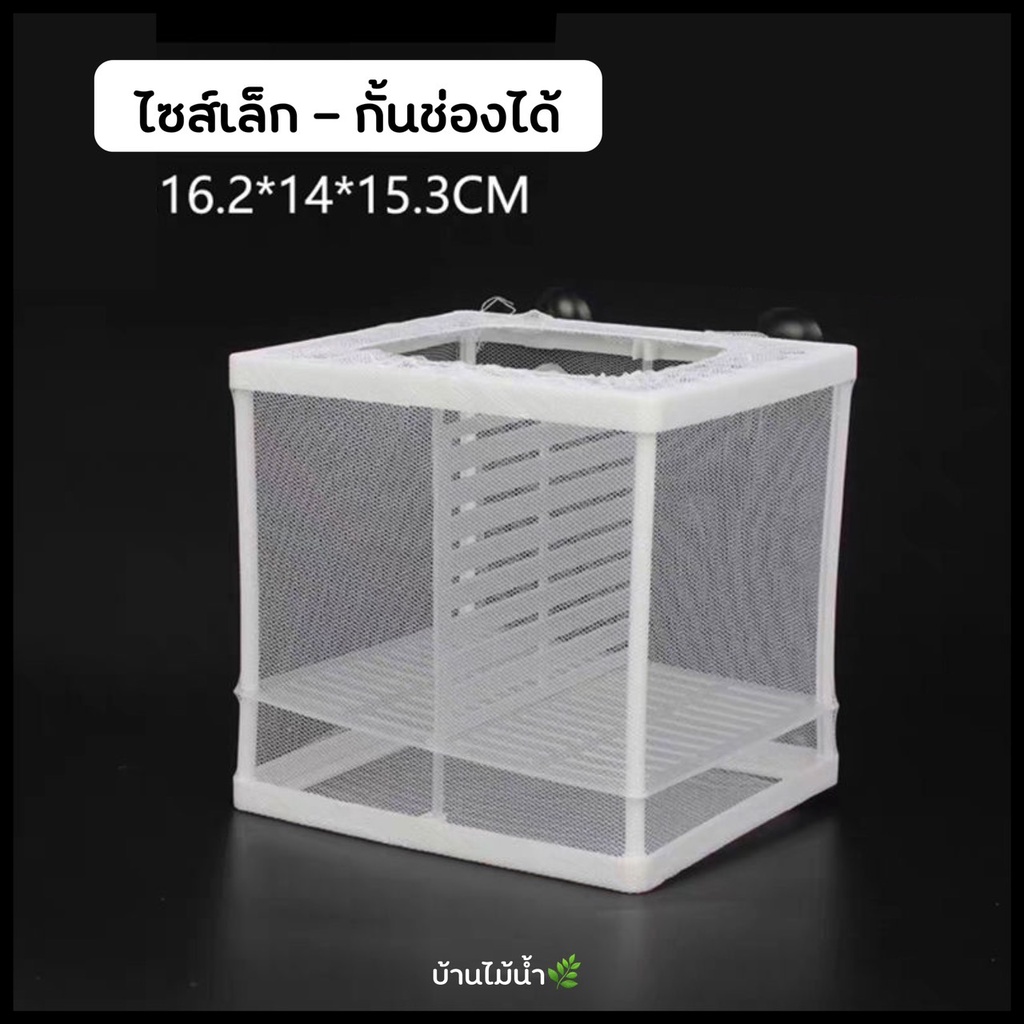 กล่องตาข่ายแยกปลา-กล่องแยกปลา-แยกลูกปลากับแม่ปลาที่เพิ่งคลอด-ลูกกุ้ง-ปลาป่วย-บ้านไม้น้ำ